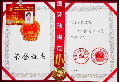 明日见柑橘苗 明日见柑橘苗