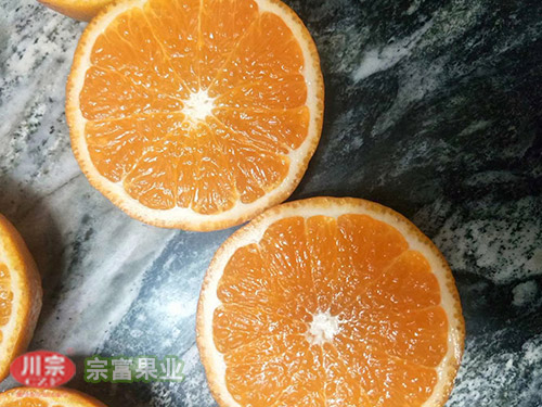 无核沃柑苗 无核沃柑苗